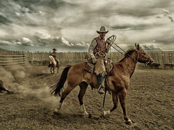 Dust Horse Photography Art | Henk Bleeker Fine Art Photography