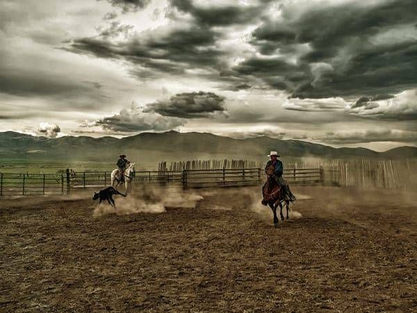 Fence Photography Art | Henk Bleeker Fine Art Photography