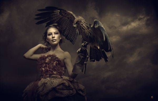 The Sovereign Falconer