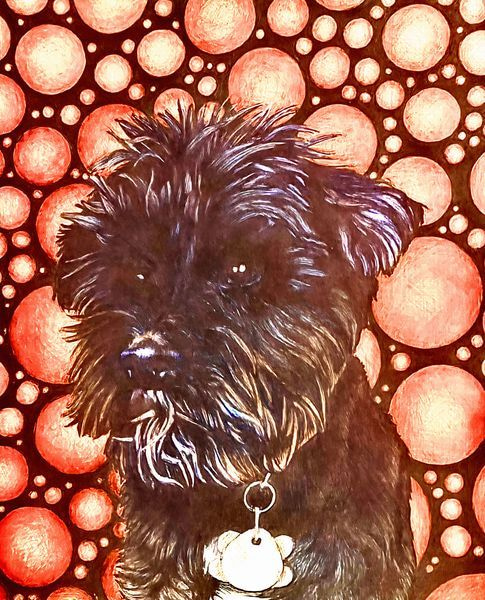 Pet Portrait