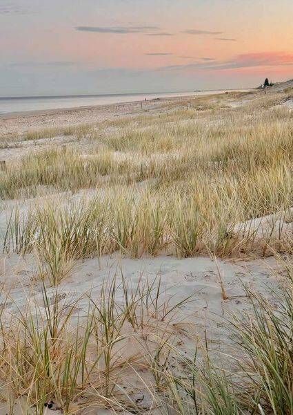 Path Of Afternoon Gold Photography Art | Goodwin Creative Designs