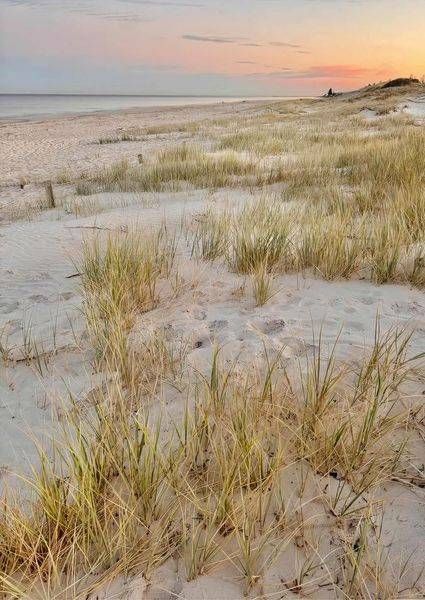 Overcast Dune Stillness Photography Art | Goodwin Creative Designs