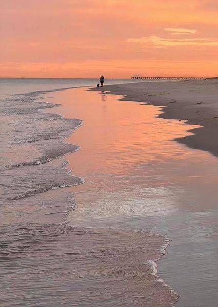 Pink Summer Awakening Photography Art | Goodwin Creative Designs
