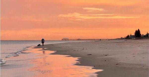 Blush Of Serenity Photography Art | Goodwin Creative Designs