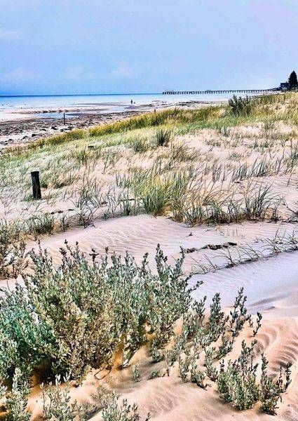 Coastal Green Photography Art | Goodwin Creative Designs