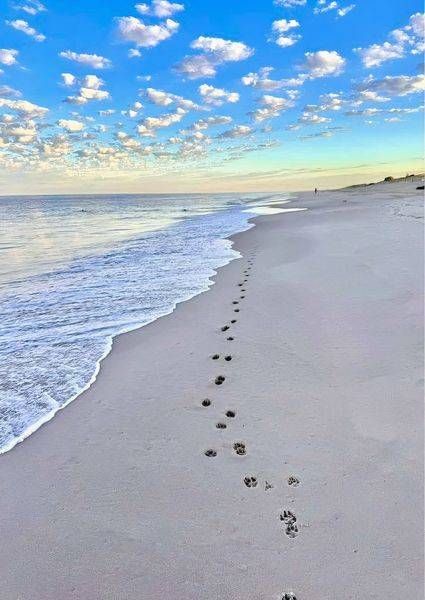 Dreamlight Horizon Photography Art | Goodwin Creative Designs