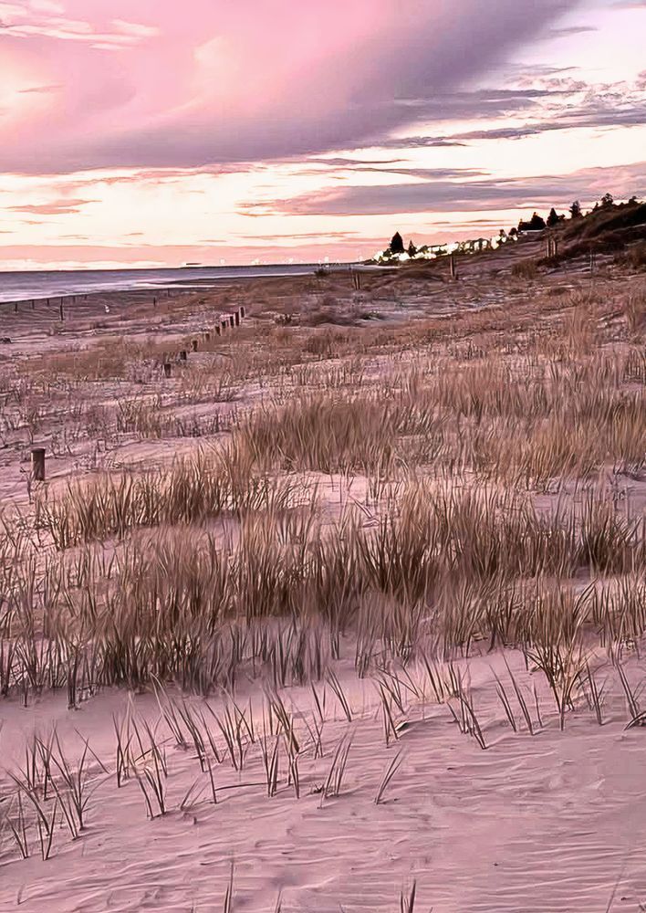 Afternoon Gold In The Dunes Photography Art | Goodwin Creative Designs
