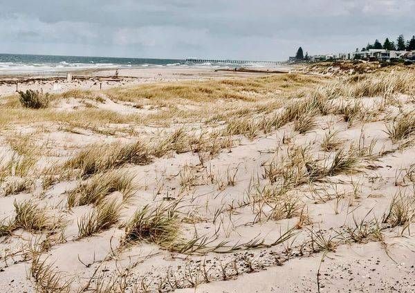 Dull Skies Green Sandy Dunes Photography Art | Goodwin Creative Designs