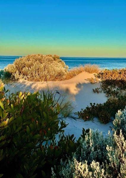 Blue Morning Over The Dunes Photography Art | Goodwin Creative Designs