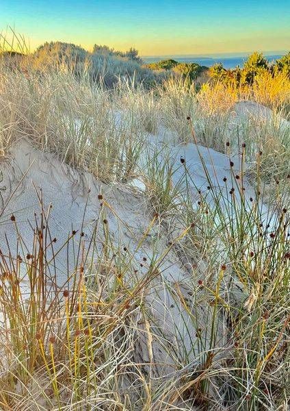 Line Through The Dunes Photography Art | Goodwin Creative Designs