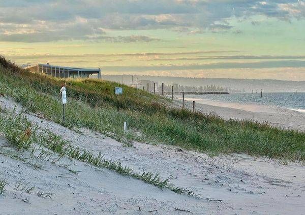 Golden Way Through The Dunes Photography Art | Goodwin Creative Designs