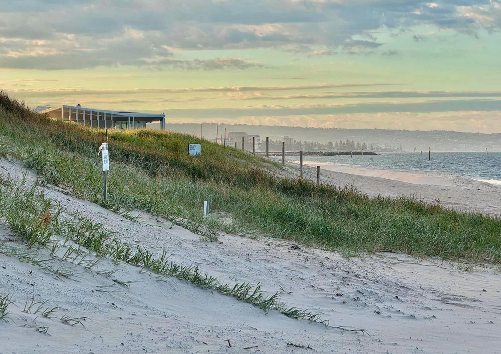 Golden Way Through The Dunes Photography Art | Goodwin Creative Designs