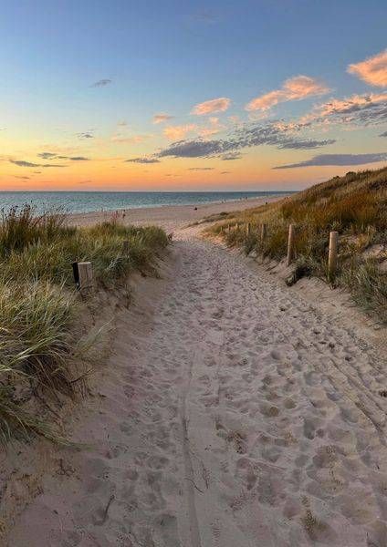 Dune Walk To The Beach Photography Art | Goodwin Creative Designs