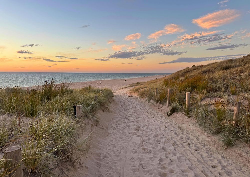 Golden Way To The Ocean Photography Art | Goodwin Creative Designs