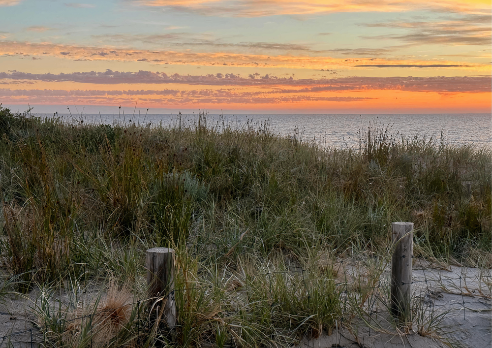 Sunrise On The Grassy Dunes Photography Art | Goodwin Creative Designs