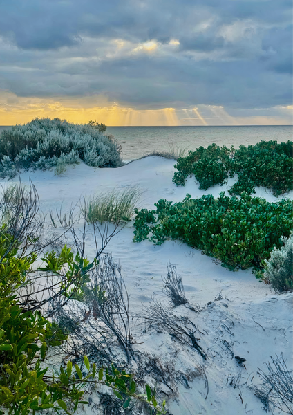 Pure Dunes Photography Art | Goodwin Creative Designs