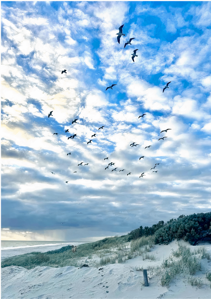 Sea Of Clouds Photography Art | Goodwin Creative Designs