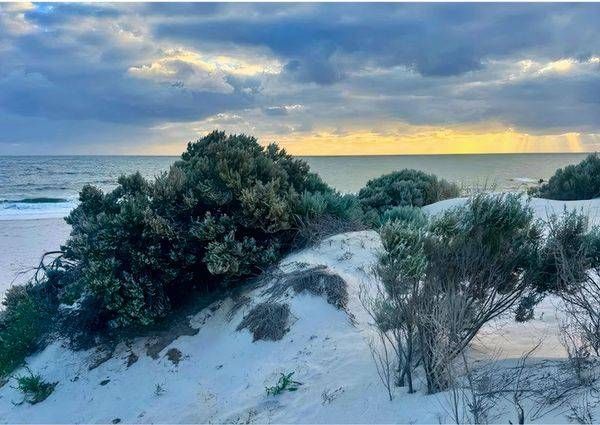 Sunrise Over The Scrub Photography Art | Goodwin Creative Designs