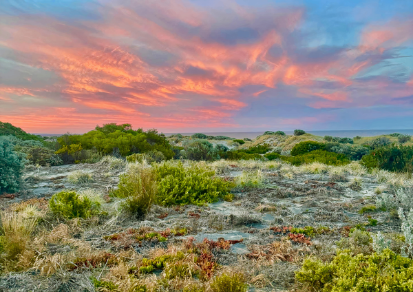 Fire Sky On Grassy Green Dunes Photography Art | Goodwin Creative Designs
