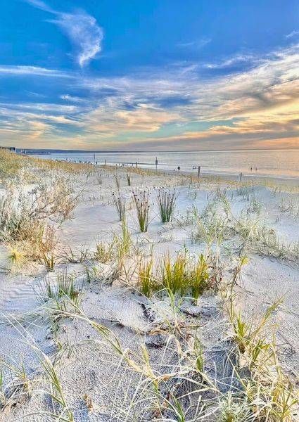 Bright Skies, Pink Dunes Photography Art | Goodwin Creative Designs