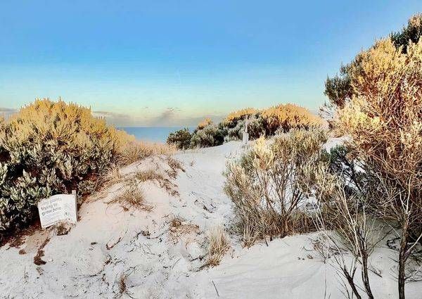 Afternoon Glow Over The Scrub Photography Art | Goodwin Creative Designs