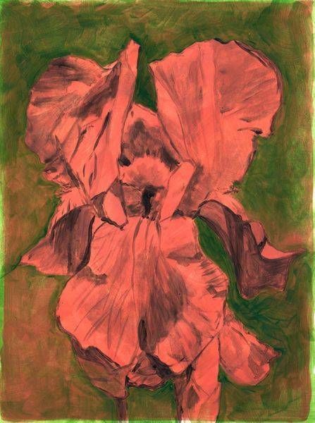 Faded Iris Art | SRGartist