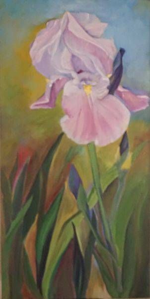 Dsc01313 Blushing Iris 2 Art | SRGartist