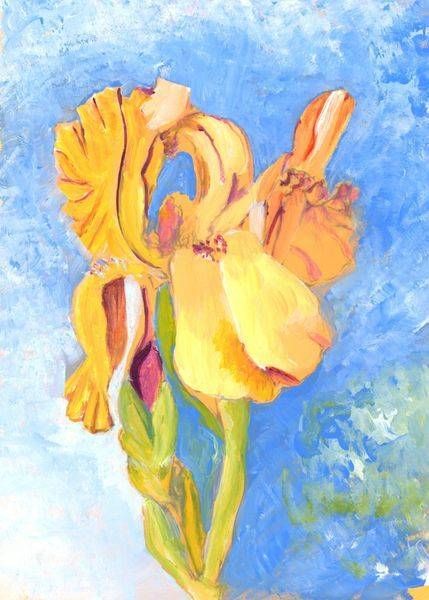 Yellow Iris Painting Hs Day Jpeg Art | SRGartist