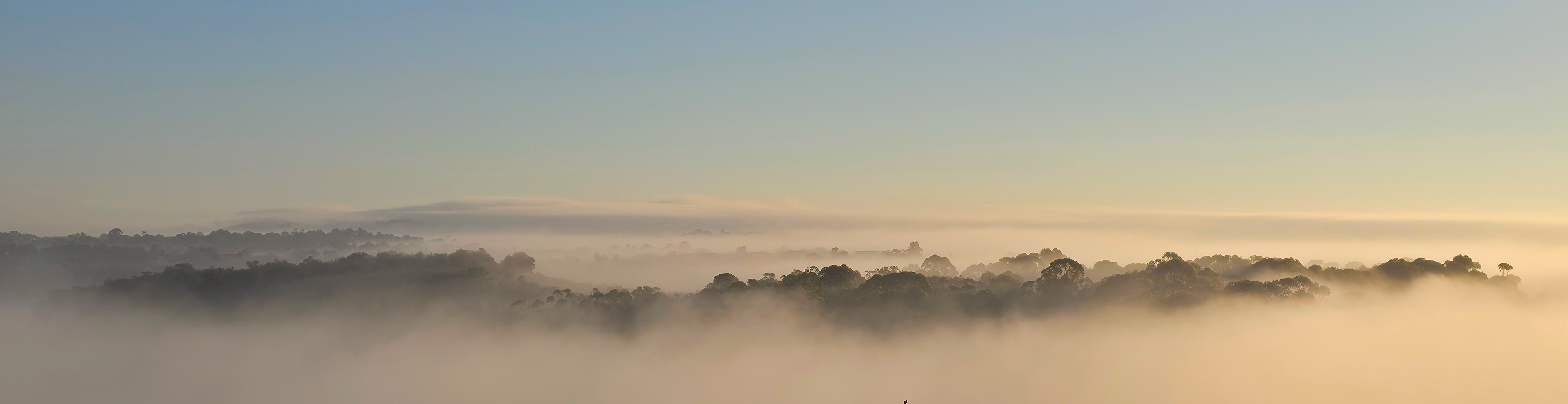 
        <div class='title'>
          Misty Morning
        </div>
       