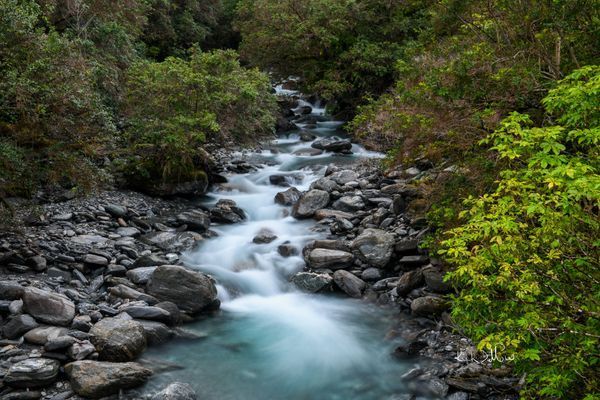 River Landscape