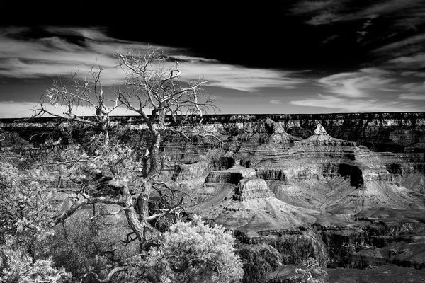 Canyon Landscape