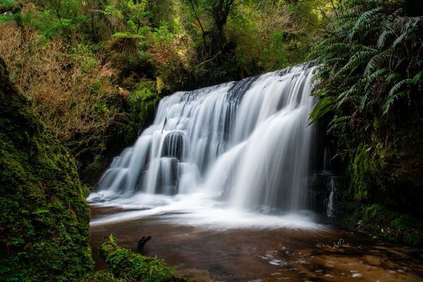 Waterfall Landscape
