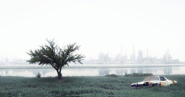 Swamp Americana