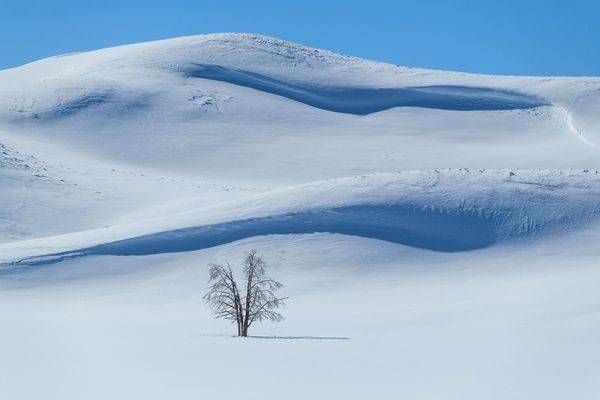 Landscapes