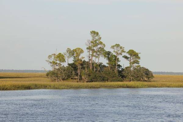 Lowcountry