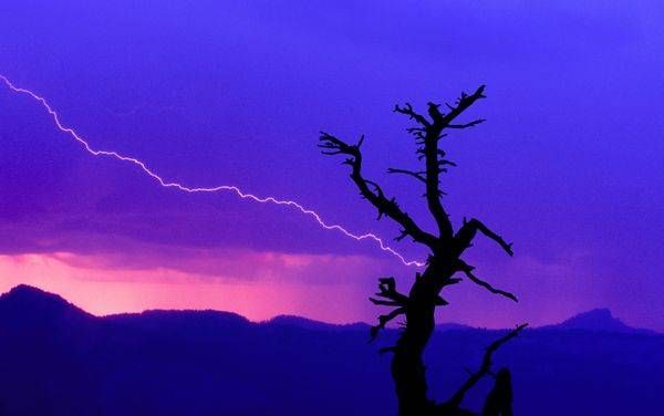 Tree Snag Lightning, Three Sisters, Oregon