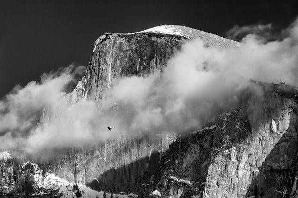 Half Dome and Crow