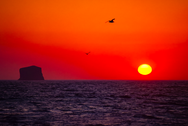 Seascapes