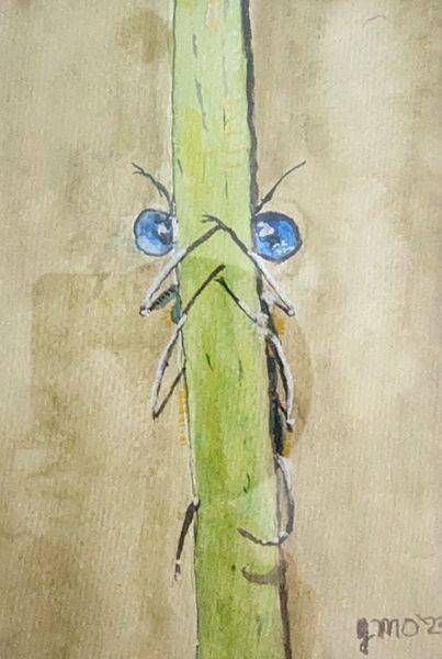 Bugs