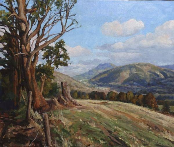 Original Representational Art