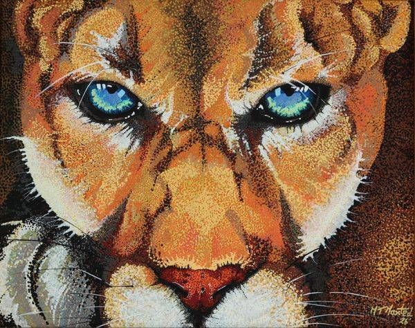 Mountain Lion   Eyes On You Art | Maxted Art