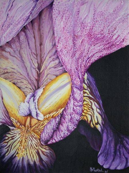Pink Brindle Lily Art | Maxted Art