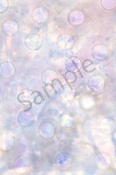 Bubble Art | Courtney Miller Bellairs Artist