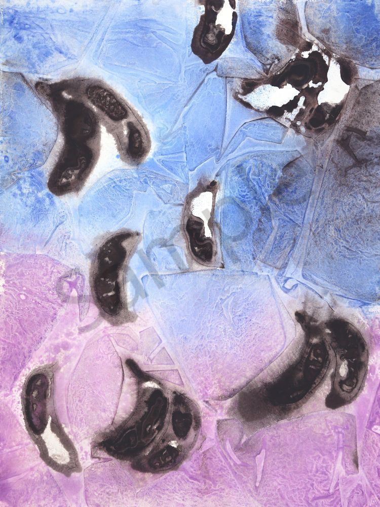 Coffee Bean Art | Courtney Miller Bellairs Artist