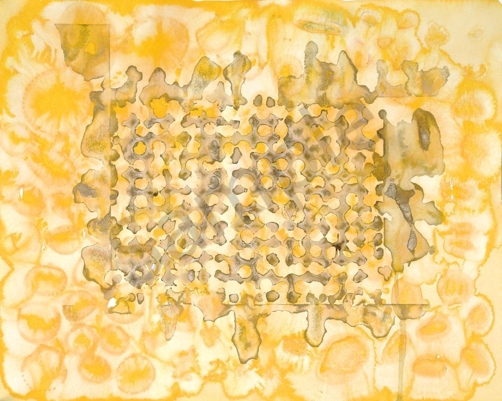 Acorn Grid Art | Courtney Miller Bellairs Artist