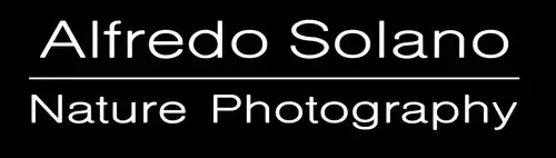 Alfredo Solano Photo