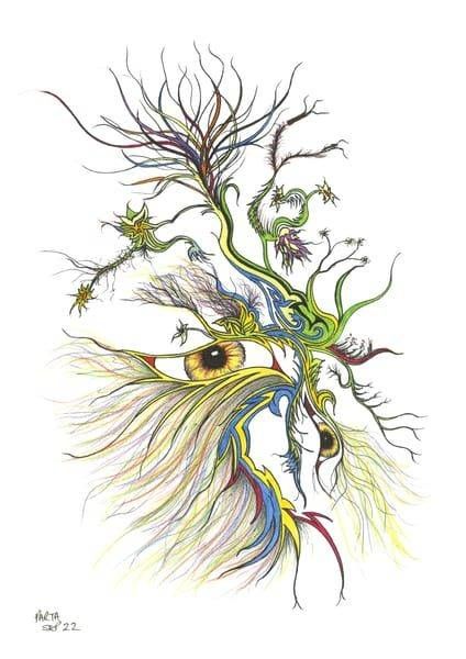 Botanicals