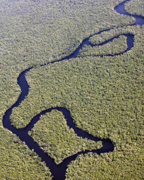 Marshland Photography Art | Airviews