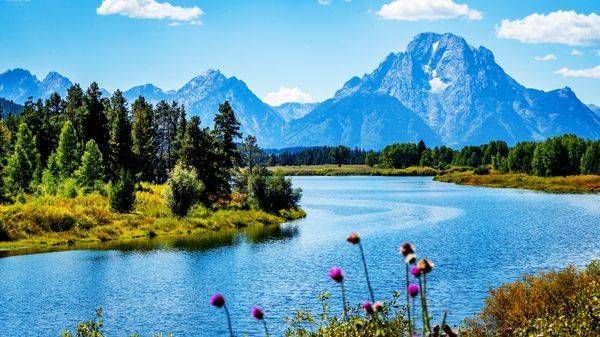 Teton Stillness