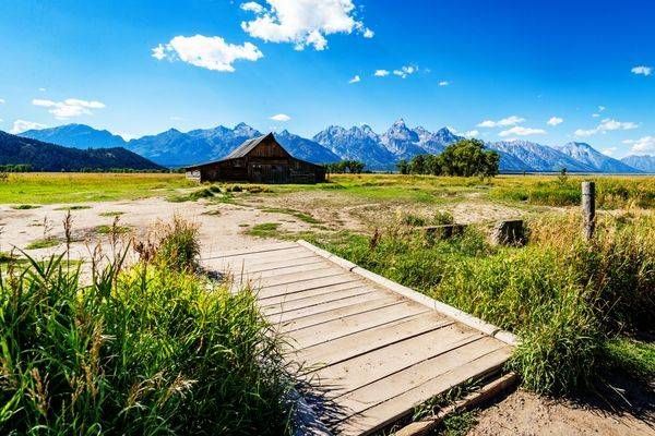 Path to the Tetons